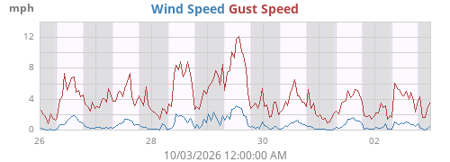 weekwind