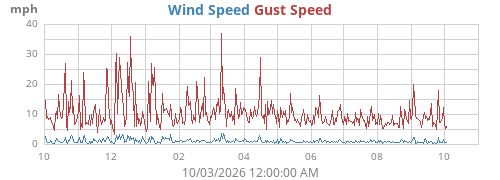 yearwind
