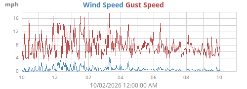 yearwind